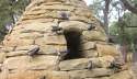 bee-cave-78738