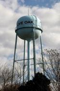 live-oak-78148 78233